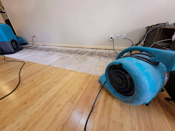 Professional Structural Drying technician working in Sealevel, NC